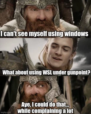 lord of the rings meme about using windows and wsl