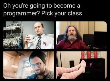 programmer career path meme
