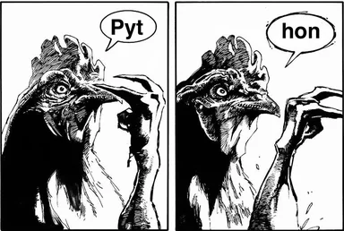 chicken comic strip with pyt and hon speech bubbles