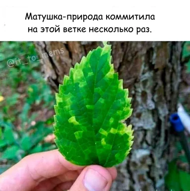 A hand holding a leaf with a tree trunk in the background and text in Russian above it.