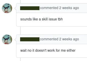 screenshot of a conversation with two comments about a technical issue