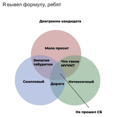 venn diagram of developer candidate skills