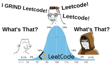 LeetCode grind meme with bell curve
