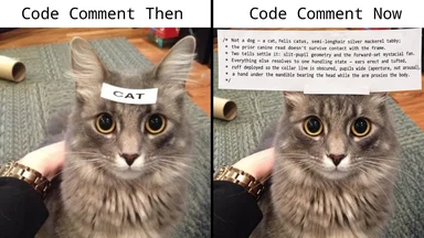 Meme comparing 'Code Comment Then' showing a cat with a label saying 'CAT' to 'Code Comment Now' showing the same cat with a label containing a long, complex biological description of the cat.