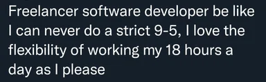 Freelancer software developer meme about flexible working hours