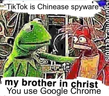 Kermit and another Muppet character reacting to a statement about TikTok being Chinese spyware