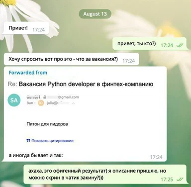 russian job posting for python developer