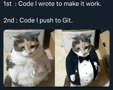 cat dressed in formal and casual clothes
