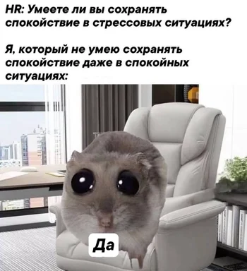 meme of a hamster in an office chair with a surprised expression