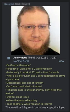 humorous image of a man with a beard and glasses representing a gnome developer