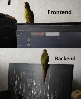 A meme showing a parrot facing a monitor labeled Frontend, and another parrot facing away from a monitor labeled Backend, pooping on the screen.