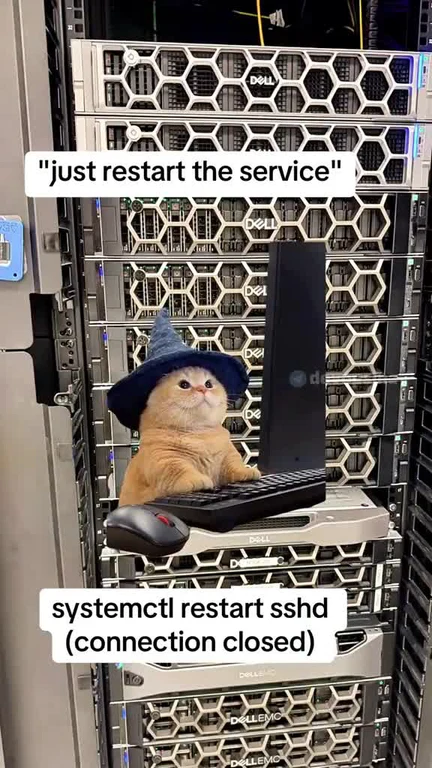 A cat wearing a wizard hat sits on a keyboard in front of a Dell server rack with the text 'just restart the service' and