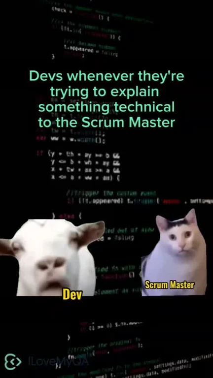 Devs trying to explain technical stuff to Scrum Master meme