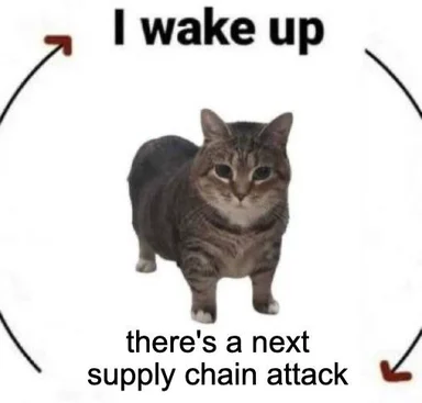 A cat meme showing a cycle where a developer wakes up to a new supply chain attack.