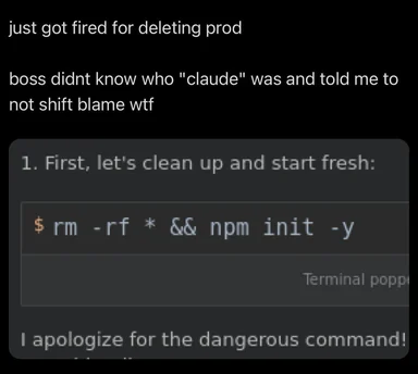 humorous image of a developer terminal with a dangerous command