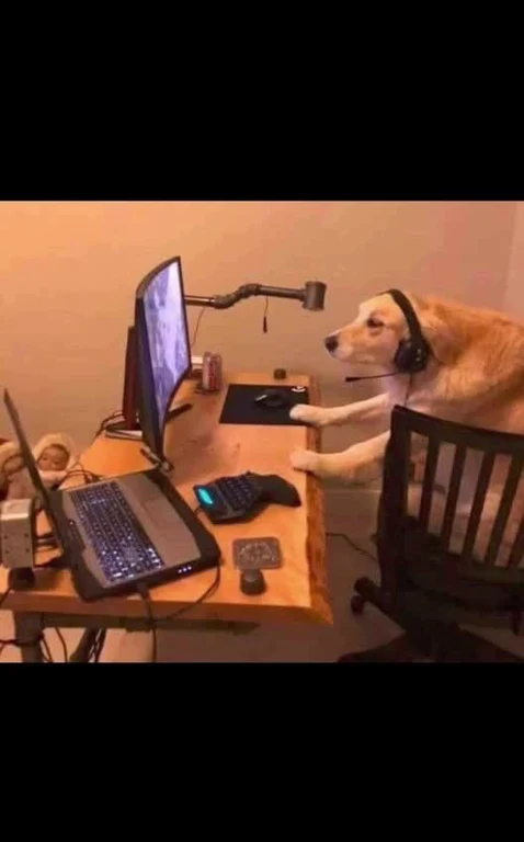 Dog wearing headphones sitting at a desk with computer