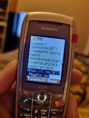 a hand holding a Siemens cell phone with a text message on the screen