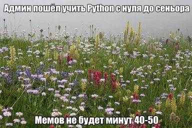 field of flowers with russian text overlay
