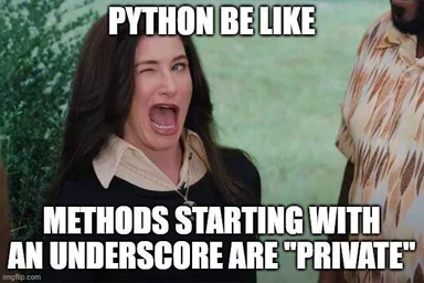 Woman reacting in shock, text: PYTHON BE LIKE METHODS STARTING WITH AN UNDERSCORE ARE PRIVATE