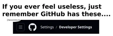GitHub developer settings meme