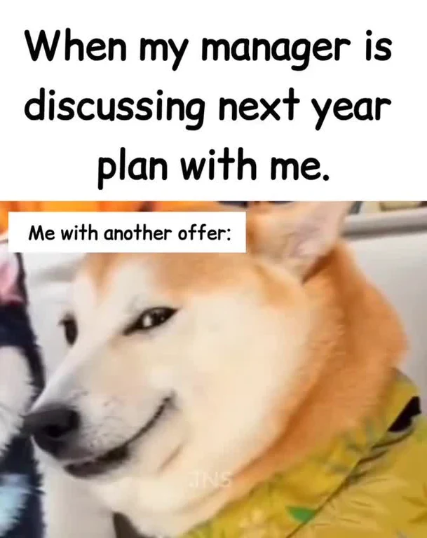 A smirking dog meme with text: 'When my manager is discussing next year plan with me. Me with another offer:'