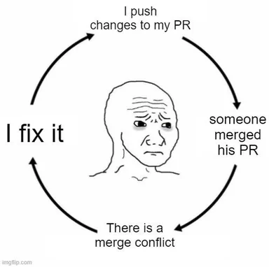 Circular loop diagram with a distressed face in the center showing the cycle: I push changes to my PR, someone merged his