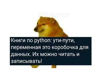 Doge meme with a caption about Python books