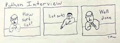 A comic about a python interview