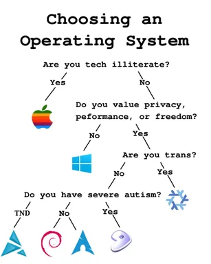 Choosing an Operating System flowchart meme