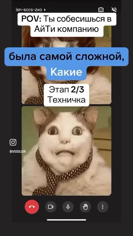 russian cat meme about difficult technical interview