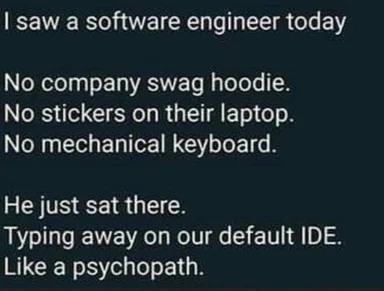 meme about a software engineer who doesn't use company swag or stereotypical developer gear