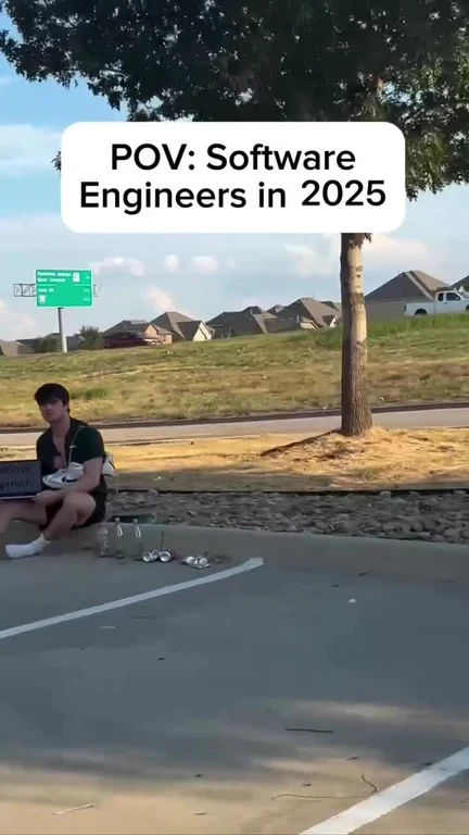 Software engineers in 2025