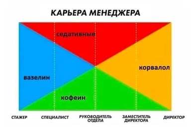 career stages of a manager chart