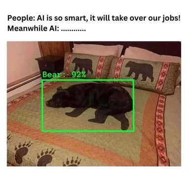 AI bear sleeping on bed with 92% accuracy