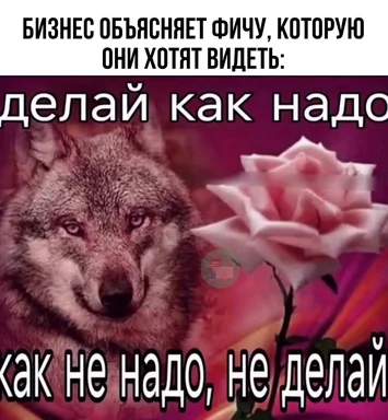 Business explains the feature they want to see meme with a wolf and a rose