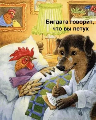 doctor dog analyzing rooster patient