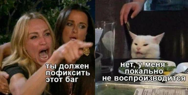 Two-panel developer meme: a woman pointing and yelling 'you must fix this bug' beside a smug white cat at a table captioned