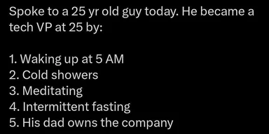 humorous text about becoming a tech VP at 25