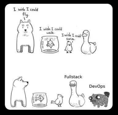 DevOps and Fullstack developer skills meme