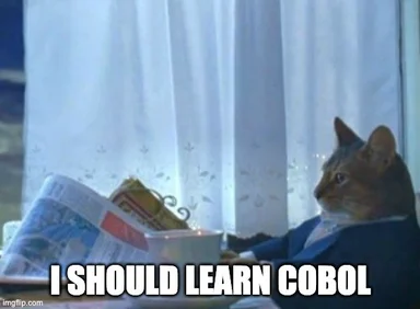 cat in suit reading newspaper with text 'I SHOULD LEARN COBOL'