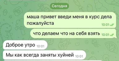 Скриншот переписки в Telegram: сотрудник просит ввести в курс дела, а в ответ получает «Мы как всегда заняты хуйней»