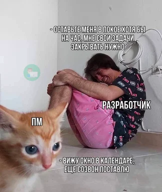 a meme of a developer trying to work with a project manager interrupting