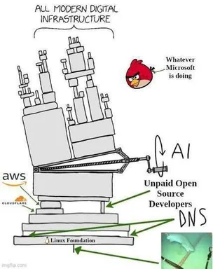 angry bird launching into digital infrastructure