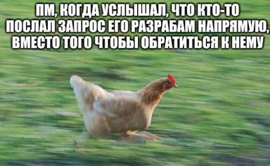 chicken running in field with russian text overlay