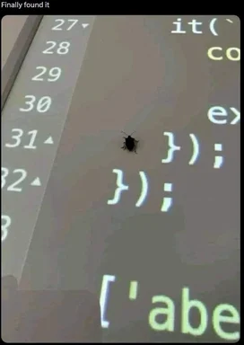 a bug on a computer screen with code on it