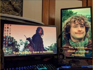 Two computer monitors side by side, one with a character from The Lord of the Rings saying 'You already have a monitor' and the other with Pippin from The Lord of the Rings asking 'Yes, but what about a second monitor?'