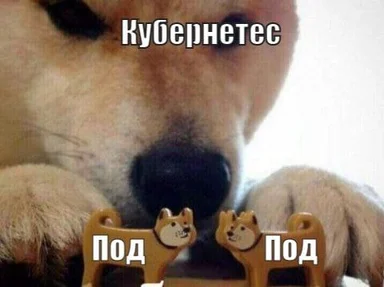 kubernetes dog meme