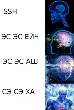 SSH meme with brain evolution