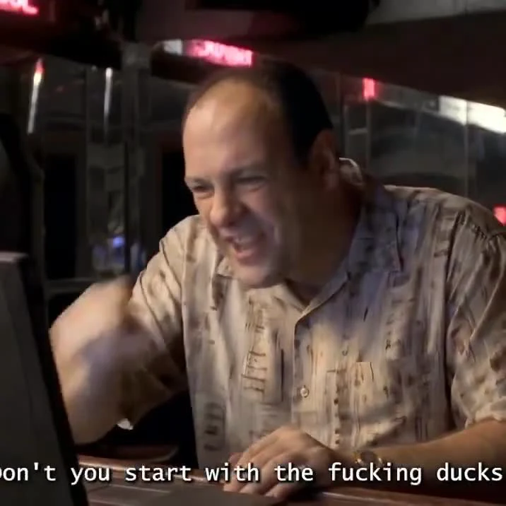 James Gandolfini looking frustrated at a computer with the caption 'Why don't you start with the fucking ducks'