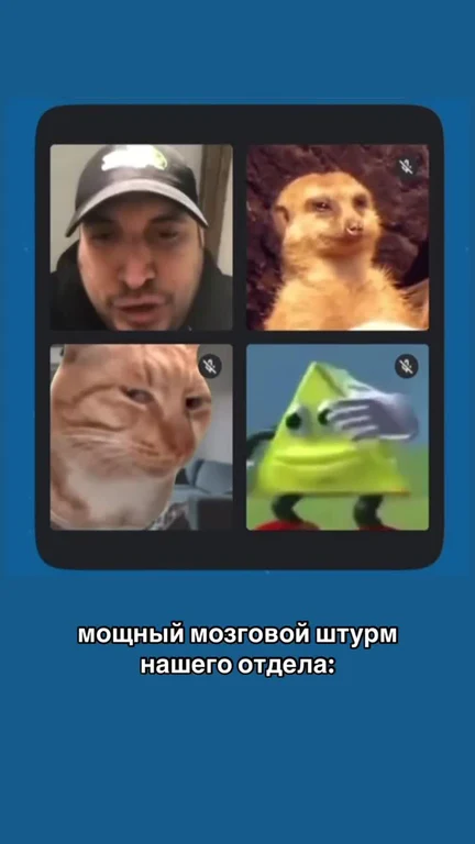 russian office workers in a video call with silly animal reactions